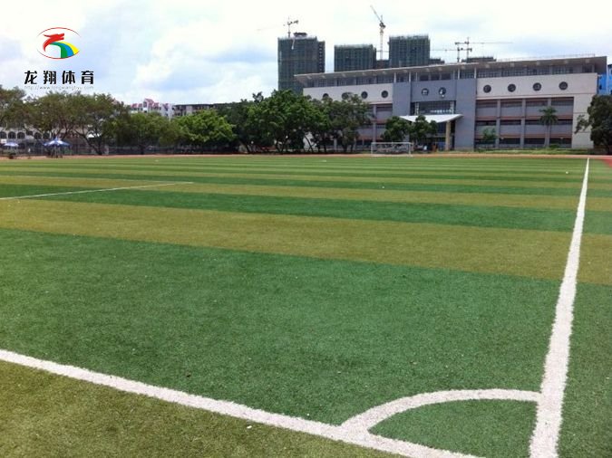 廣西大學(xué)（英國博納草）